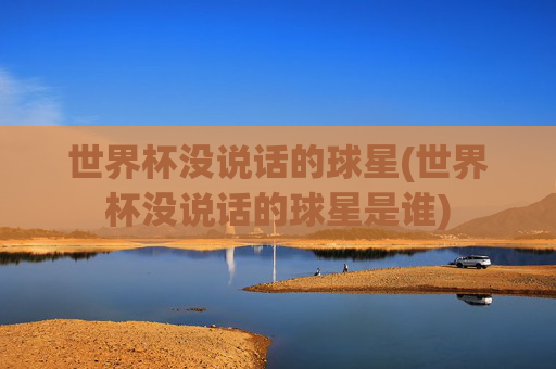 世界杯没说话的球星(世界杯没说话的球星是谁)
