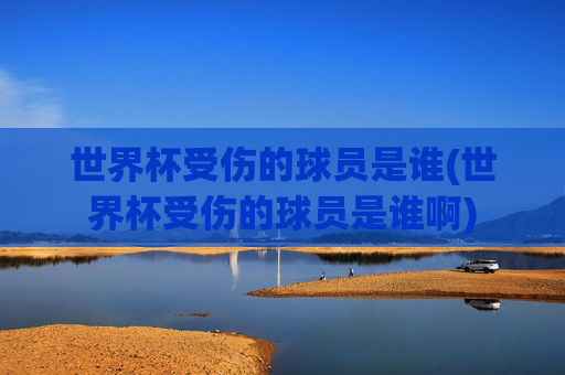 世界杯受伤的球员是谁(世界杯受伤的球员是谁啊)