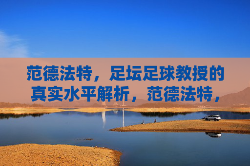 范德法特,足坛足球教授的真实水平解析,范德法特,足球教授的真实水平解析