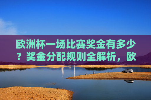 欧洲杯一场比赛奖金有多少?奖金分配规则全解析,欧洲杯单场奖金分配规则全解析