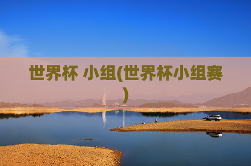 世界杯 小组(世界杯小组赛)