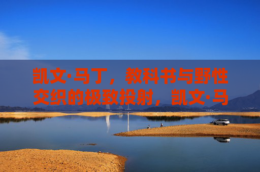 凯文·马丁，教科书与野性交织的极致投射，凯文·马丁，教科书与野性交织的极致投射