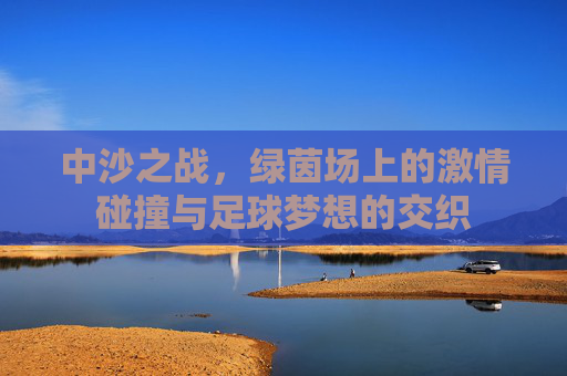 中沙之战,绿茵场上的激情碰撞与足球梦想的交织