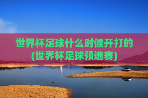 世界杯足球什么时候开打的(世界杯足球预选赛)