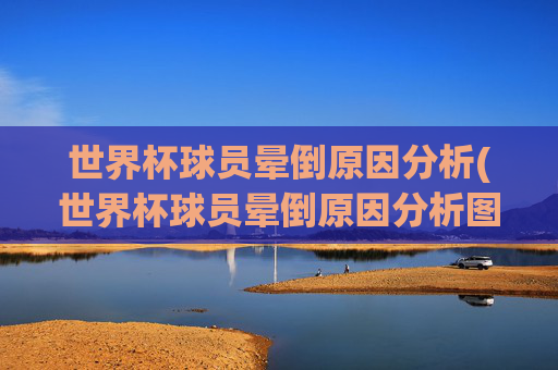 世界杯球员晕倒原因分析(世界杯球员晕倒原因分析图)
