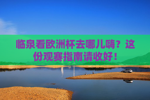 临泉看欧洲杯去哪儿嗨?这份观赛指南请收好!
