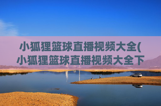 小狐狸篮球直播视频大全(小狐狸篮球直播视频大全下载)