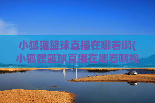 小狐狸篮球直播在哪看啊(小狐狸篮球直播在哪看啊视频)