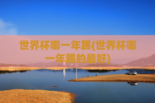 世界杯哪一年踢(世界杯哪一年踢的最好)