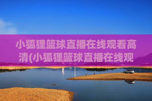 小狐狸篮球直播在线观看高清(小狐狸篮球直播在线观看高清视频)
