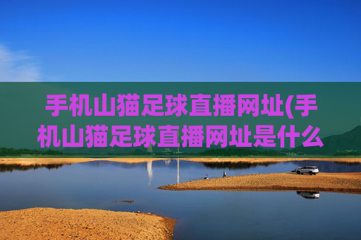 手机山猫足球直播网址(手机山猫足球直播网址是什么)