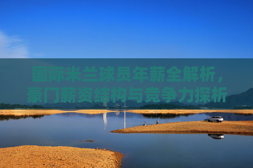 国际米兰球员年薪全解析,豪门薪资结构与竞争力探析,国际米兰球员年薪与薪资结构全解析,豪门竞争力探析