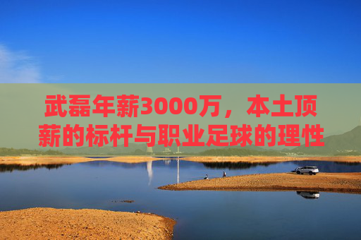 武磊年薪3000万,本土顶薪的标杆与职业足球的理性思辨,武磊3000万年薪,本土顶薪标杆与职业足球理性思辨