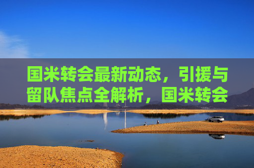 国米转会最新动态,引援与留队焦点全解析,国米转会最新动态,引援留队焦点全解析