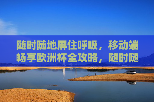 随时随地屏住呼吸，移动端畅享欧洲杯全攻略，随时随地屏住呼吸，移动端欧洲杯全攻略