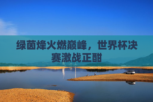 绿茵烽火燃巅峰,世界杯决赛激战正酣