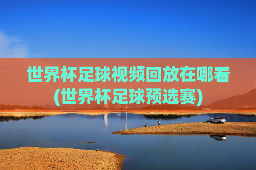 世界杯足球视频回放在哪看(世界杯足球预选赛)