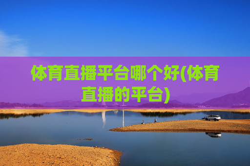 体育直播平台哪个好(体育直播的平台)