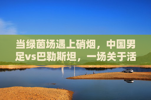当绿茵场遇上硝烟,中国男足vs巴勒斯坦,一场关于活着踢球的对话
