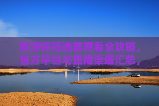 欧洲杯预选赛观看全攻略，官方平台与直播渠道汇总，欧洲杯预选赛观看全攻略，官方平台与直播渠道汇总