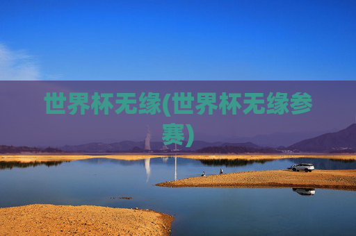 世界杯无缘(世界杯无缘参赛)