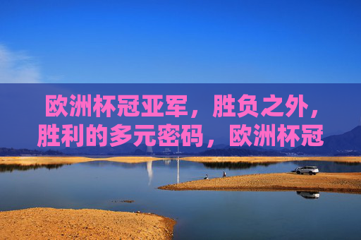 欧洲杯冠亚军，胜负之外，胜利的多元密码，欧洲杯冠亚军，胜负之外的多元密码