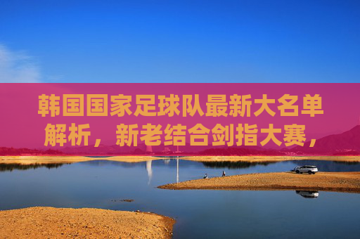 韩国国家足球队最新大名单解析，新老结合剑指大赛，孙兴慜领衔战亚洲之巅，韩国队最新大名单，孙兴慜领衔新老结合剑指亚洲之巅