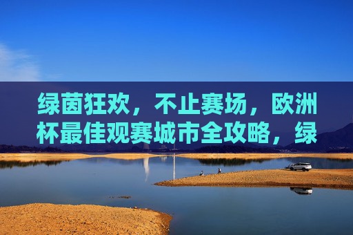 绿茵狂欢,不止赛场,欧洲杯最佳观赛城市全攻略,绿茵狂欢欧洲杯,最佳观赛城市全攻略