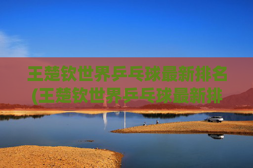 王楚钦世界乒乓球最新排名(王楚钦世界乒乓球最新排名多少)王楚钦世界乒乓球最新排名