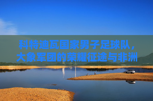 科特迪瓦国家男子足球队,大象军团的荣耀征途与非洲足球的坚韧图腾,大象军团,荣耀征途与非洲足球的坚韧图腾