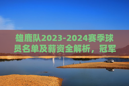 雄鹿队2023-2024赛季球员名单及薪资全解析,冠军拼图与薪资结构的平衡之道,雄鹿2023-2024赛季球员名单薪资全解析,冠军拼图与薪资结构平衡之道