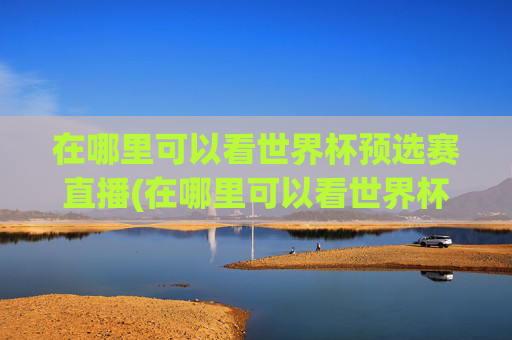 在哪里可以看世界杯预选赛直播(在哪里可以看世界杯预选赛直播回放)