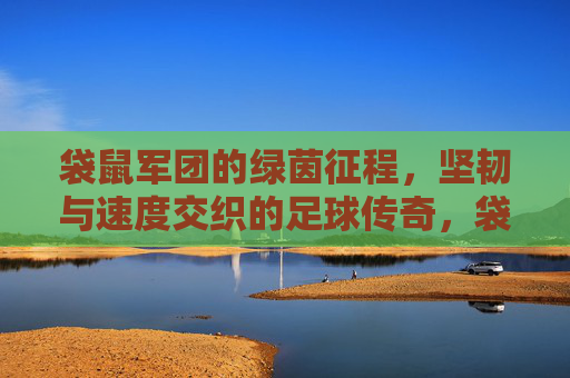 袋鼠军团的绿茵征程,坚韧与速度交织的足球传奇,袋鼠军团,坚韧与速度交织的绿茵传奇