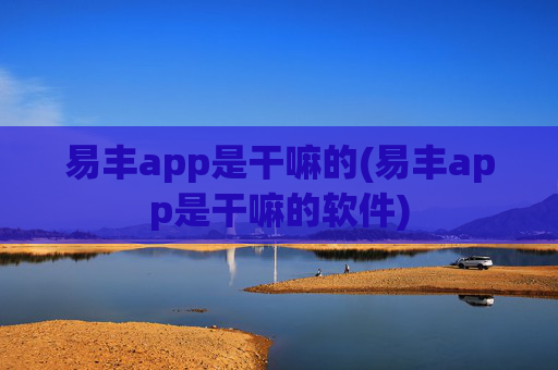 易丰app是干嘛的(易丰app是干嘛的软件)