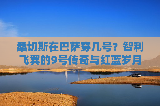 桑切斯在巴萨穿几号?智利飞翼的9号传奇与红蓝岁月,桑切斯巴萨9号传奇,智利飞翼的红蓝岁月
