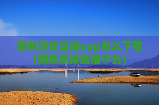 雨燕足球直播app怎么下载(雨燕足球直播平台)