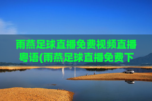 雨燕足球直播免费视频直播粤语(雨燕足球直播免费下载)