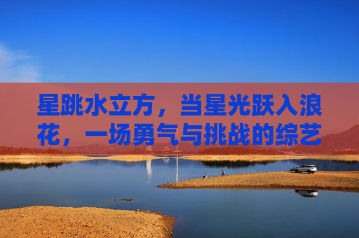 星跳水立方,当星光跃入浪花,一场勇气与挑战的综艺盛宴,星跳水立方,星光跃浪,勇气挑战盛宴