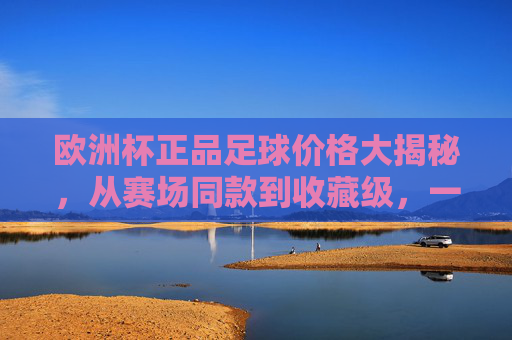 欧洲杯正品足球价格大揭秘,从赛场同款到收藏级,一支要花多少钱?
