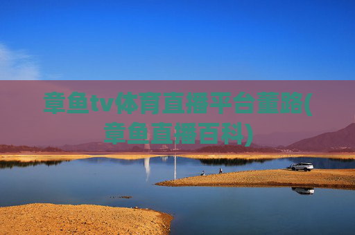 章鱼tv体育直播平台董路(章鱼直播百科)