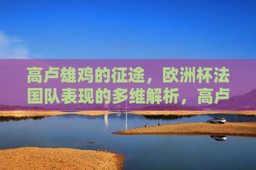 高卢雄鸡的征途，欧洲杯法国队表现的多维解析，高卢雄鸡欧洲杯征途，法国队表现多维解析