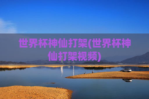 世界杯神仙打架(世界杯神仙打架视频)