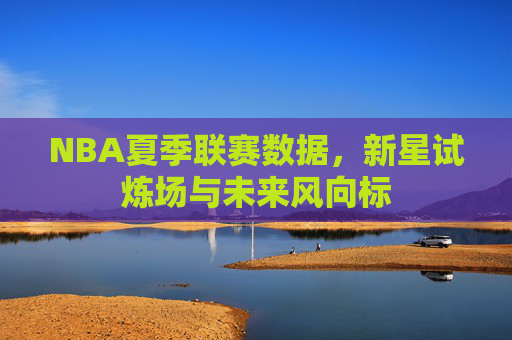NBA夏季联赛数据,新星试炼场与未来风向标