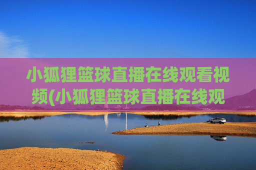 小狐狸篮球直播在线观看视频(小狐狸篮球直播在线观看视频下载)