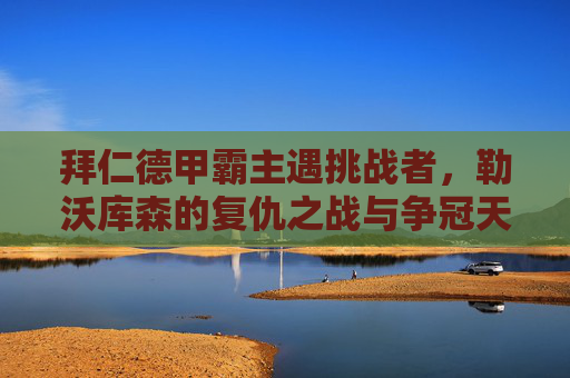 拜仁德甲霸主遇挑战者,勒沃库森的复仇之战与争冠天平,拜仁德甲霸主遇挑战者,勒沃库森复仇争冠战