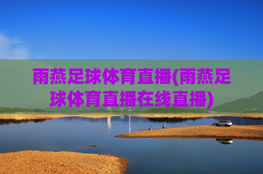 雨燕足球体育直播(雨燕足球体育直播在线直播)
