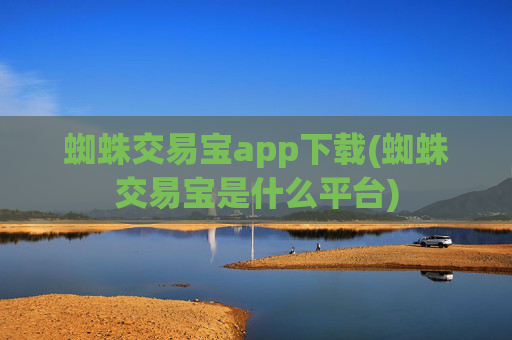蜘蛛交易宝app下载(蜘蛛交易宝是什么平台)