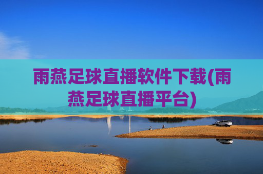 雨燕足球直播软件下载(雨燕足球直播平台)