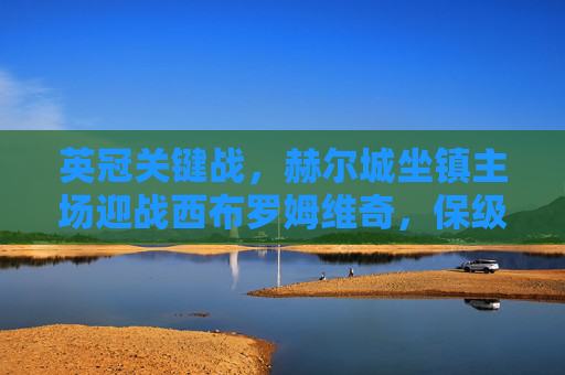 英冠关键战,赫尔城坐镇主场迎战西布罗姆维奇,保级与升级的碰撞,英冠关键战,赫尔城迎战西布罗姆维奇,保级与升级的碰撞