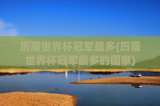 历届世界杯冠军最多(历届世界杯冠军最多的国家)